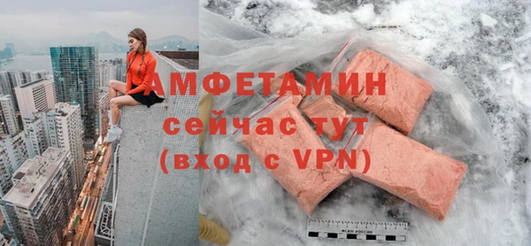 индика Богданович